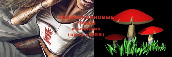 a pvp Нея