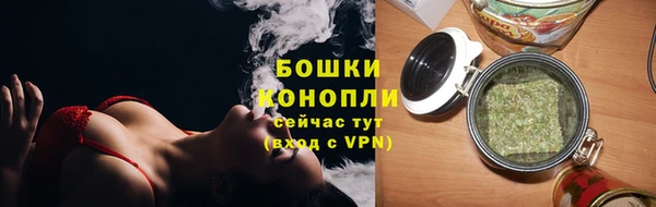 тгк Бронницы