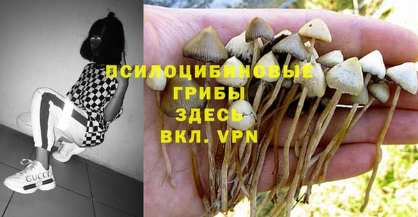 кокс Нефтекумск