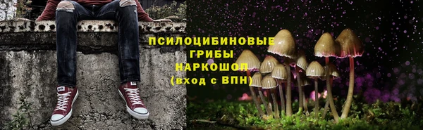 a pvp Нея