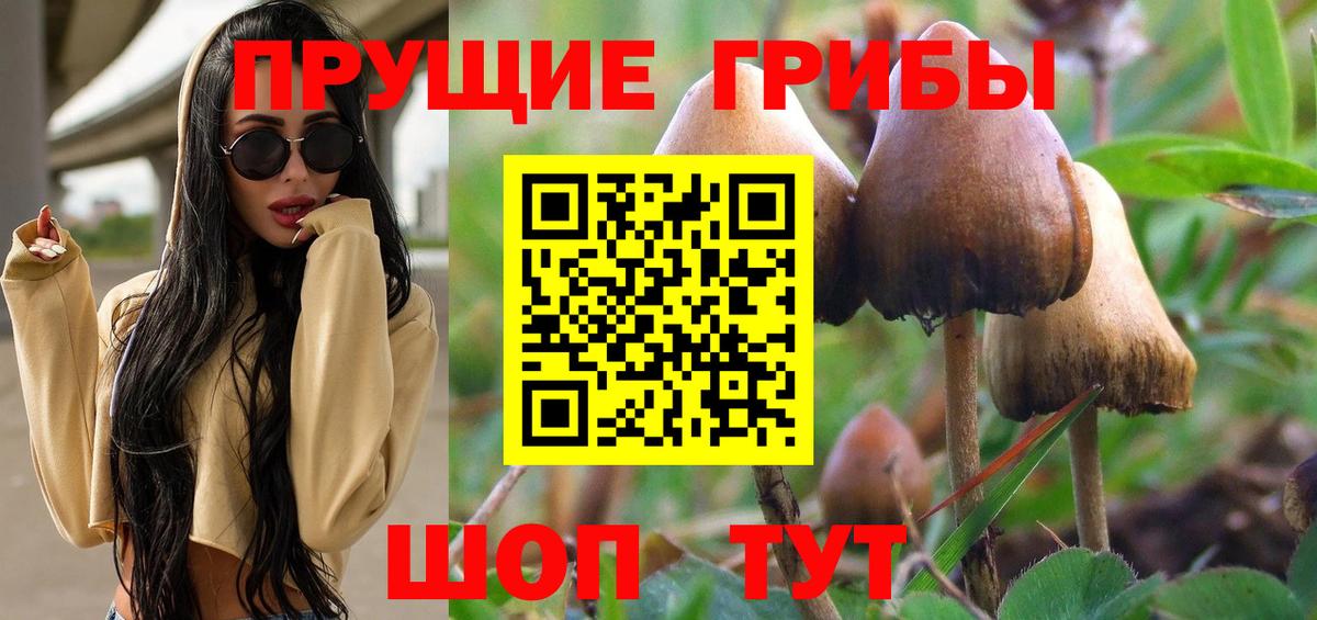 Галлюциногенные грибы GOLDEN TEACHER  Вход с VPN  купить наркотики сайты  Псилоцибиновые грибы Cubensis  Знаменск 