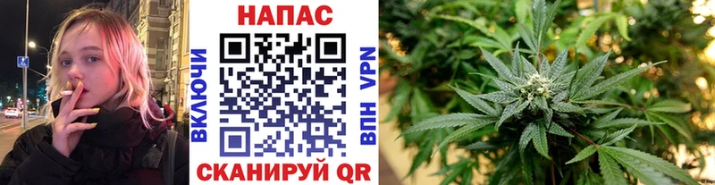 Конопля план  Знаменск 