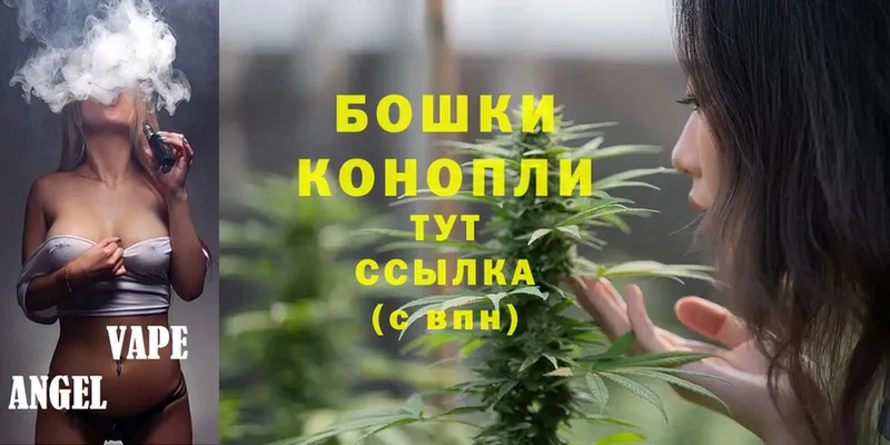 наркота  Знаменск  Бошки Шишки White Widow 